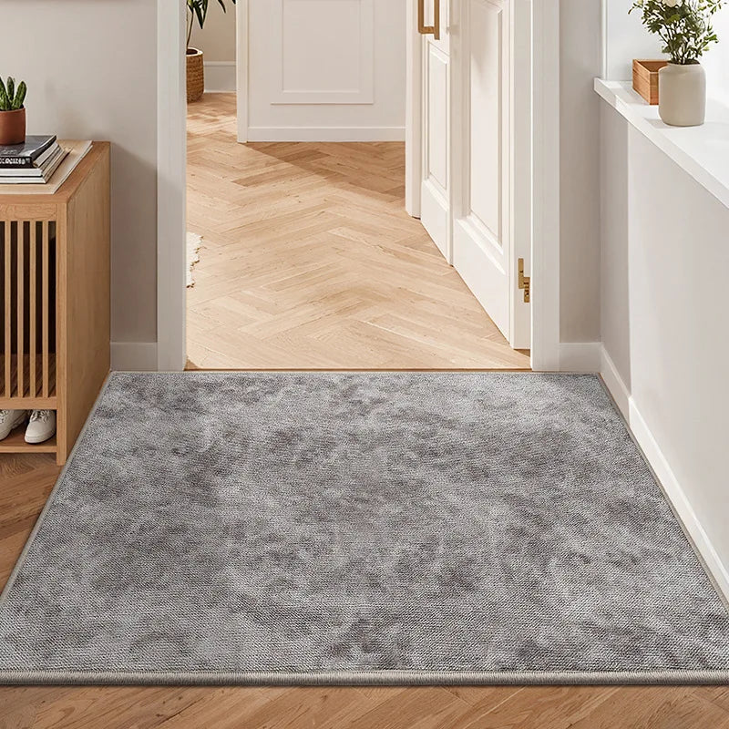 Home Entryway Mat: Stain-Resistant, Easy-to-Clean, Sand-Scrubbing, Dust-Removing & Non-Slip Floor Mat